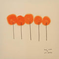L.S. Dunes- Past Lives (Indie Exclusive Vinyl) ( Vinyl )