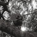 Ty Segall- Hello Hi ( Vinyl )
