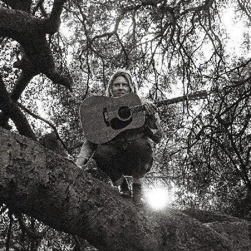 Ty Segall- Hello Hi ( Vinyl )