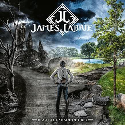 James LaBrie (Dream Theater)-  Beautiful Shade Of Grey ( Vinyl )