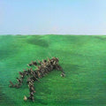 Squid- Bright Green Field ( Vinyl )