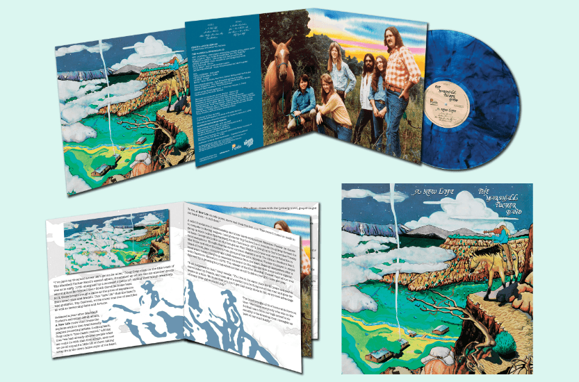 Marshall Tucker Band- A New Life ( Vinyl )