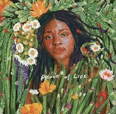 Joy Oladokun- Proof Of Life (Indie Exclusive Vinyl) (Signed Insert) ( Vinyl )