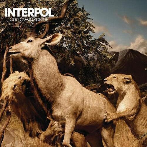 Interpol- Our Love To Admire ( Vinyl )