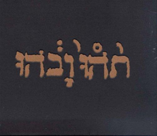 Godspeed You! Black Emperor- Slow Riot For New Zero Kanada E.P. ( Vinyl )