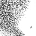 Wilco- Sky Blue Sky ( Vinyl )