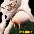 Aerosmith- Get A Grip ( Vinyl )