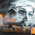 Antilabe- Animi Motus ( Vinyl )