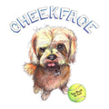 Cheekface- Too Much To Ask ( Vinyl )