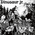 Dinosaur Jr.- Dinosaur ( Vinyl )