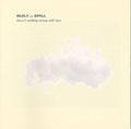 Built To Spill- There's Nothing Wrong With Love ( Vinyl )