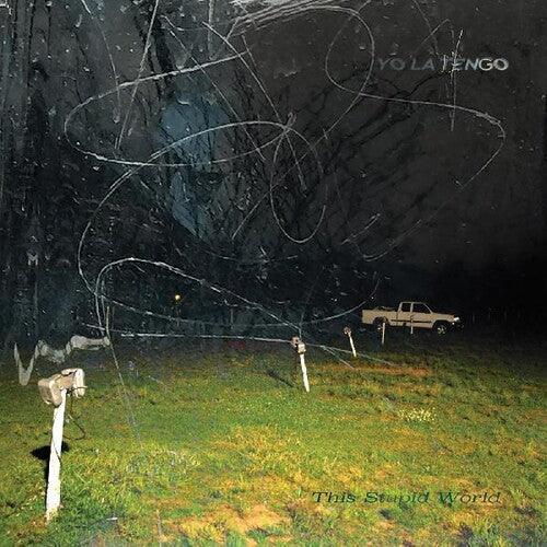 Yo La Tengo- This Stupid World ( Vinyl )