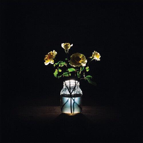 Billy Strings- Renewal ( Vinyl )