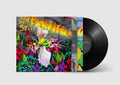 Built To Spill- When the Wind Forgets Your Name ( Vinyl )