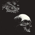 Osees- Foul Form ( Vinyl )