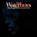 The Waterboys- How Long Will I Love You [2021 Remix] -RSD21 (Drop 2) ( Vinyl )