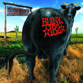 Blink 182- Dude Ranch ( Vinyl )