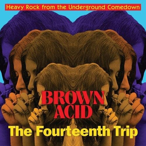 Various- Brown Acid: Fourteenth Trip ( Vinyl )