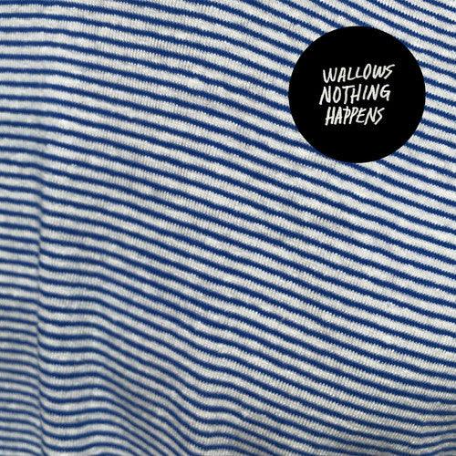 Wallows- Nothing Happens ( Vinyl )