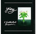 Yung- A Youthful Dream ( Vinyl )
