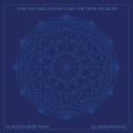 ...And You Will Know Us by the Trail of Dead - Xi: Bleed Here Now (Indie Exclusive Vinyl) ( Vinyl )
