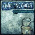 Counting Crows- Somewhere Under Wonderland ( Vinyl )